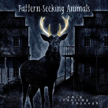 LP deska Pattern-Seeking Animals - Only Passing Through (2 LP + CD) - 1