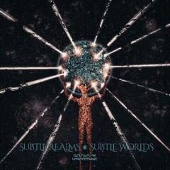 Vinyl Record Shadow Universe - Subtle Realms, Subtle Worlds (LP)