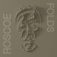 Vinyl Record Roscoe - Folds (LP)