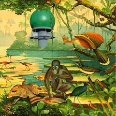 Vinyl Record Various Artists - Radar Keroxen Vol. II (LP)