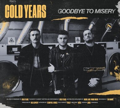 Vinyl Record Cold Years - Goodbye To Misery (Limited Edition) (LP) - 1
