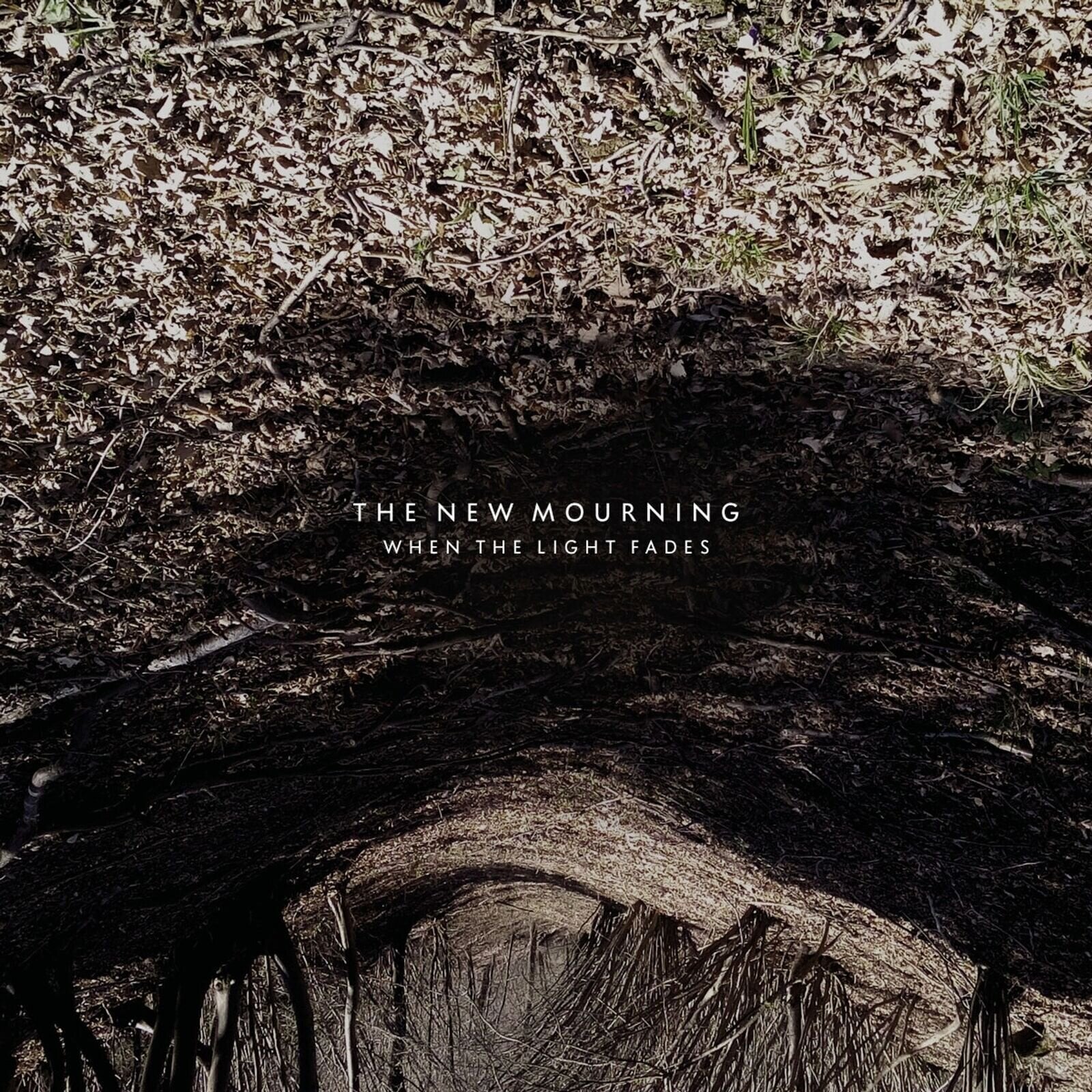 Vinylplade The New Mourning - When The Light Fades (LP)