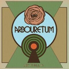 Vinyl Record Arbouretum - Let It All In (Limited Edition) (Light Blue Coloured) (LP)