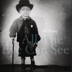 LP ploča Joe Henry - All The Eye Can See (2 LP)