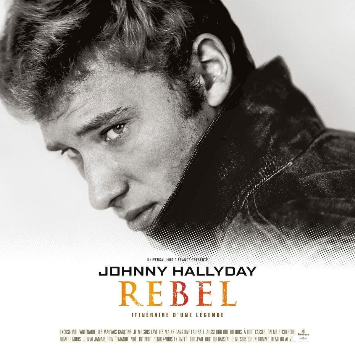LP deska Johnny Hallyday - Rebel (Limited Edition) (2 LP)