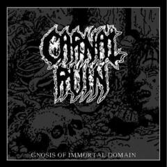 Disc de vinil Carnal Ruin - Gnosis Of Immortal Domain (LP)