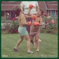 Elbow - Flying Dream 1 (Limited Edition) (Transparent Coloured) (LP)