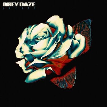 LP deska Grey Daze - Amends (Box Set) (180 g) (LP + CD) - 1