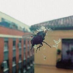 LP deska Biznaga - Gran Pantalla (Limited Edition) (LP)