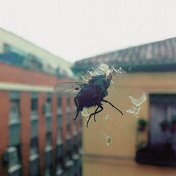 LP deska Biznaga - Gran Pantalla (Limited Edition) (LP) - 1