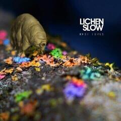 Disco de vinil Lichen Slow - Rest Lurks (Limited Edition) (Orange Coloured) (LP)