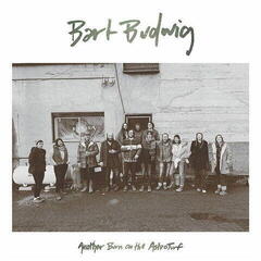 LP ploča Bart Budwig - Another Burn On The Astroturf (LP)