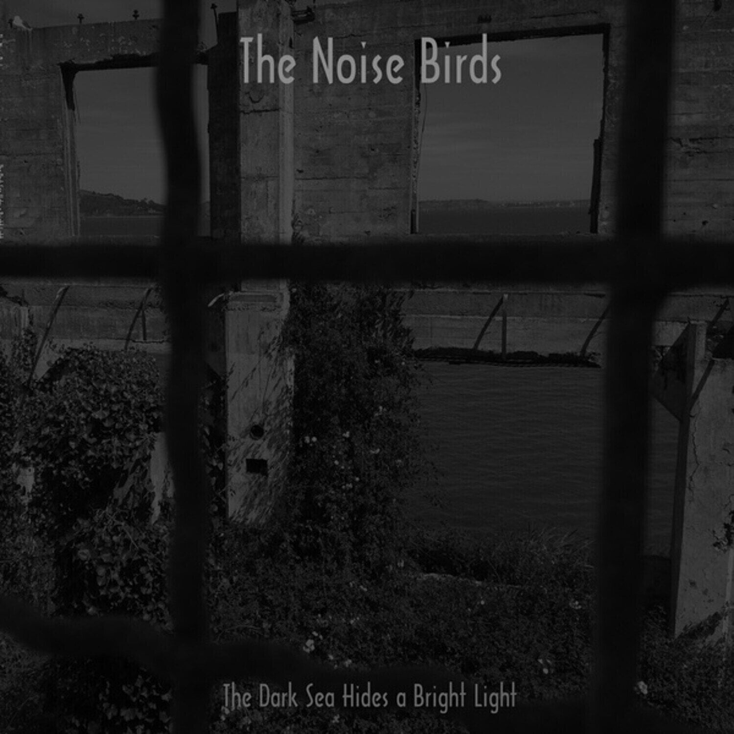 Vinyl Record The Noise Birds - The Dark Sea Hides A Bright Light (LP)