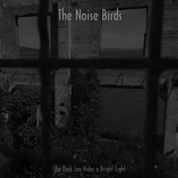 Vinyl Record The Noise Birds - The Dark Sea Hides A Bright Light (LP) - 1