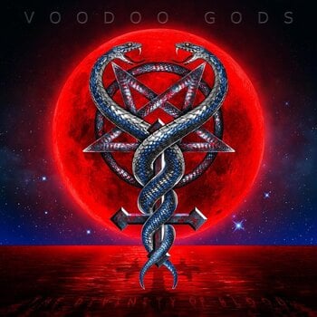 Vinylplate Voodoo Gods - The Divinity Of Blood (Limited Edition) (LP) - 1