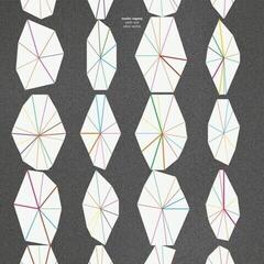 Vinyl Record Master Oogway - Earth And Other Worlds (LP)