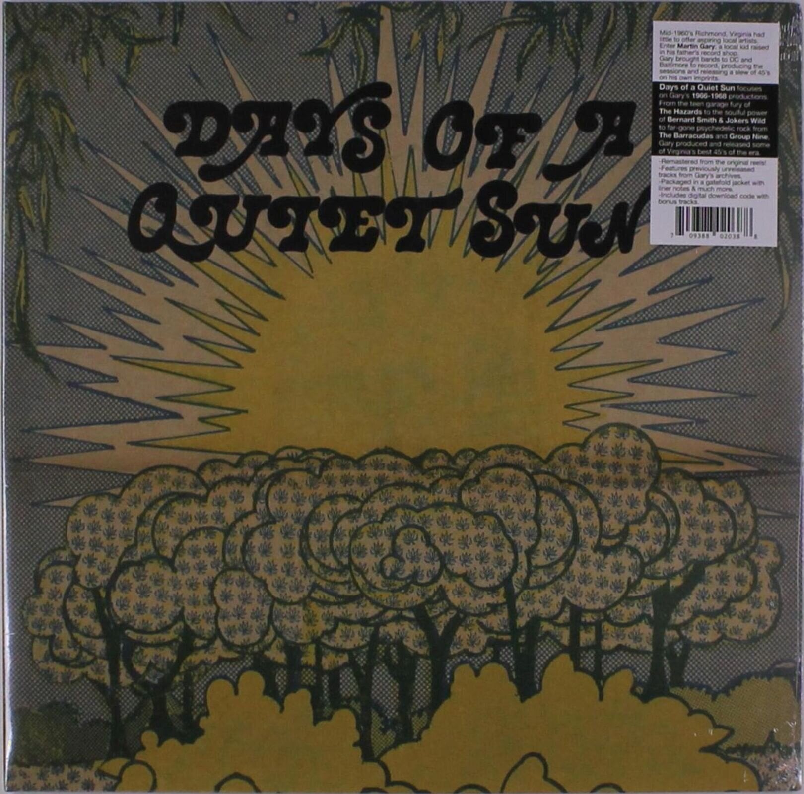 LP ploča Various Artists - Days Of A Quiet Sun (Limited Edition) (LP)