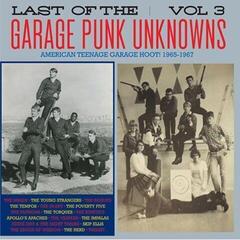 LP plošča Various Artists - Last Of The Garage Punk Unknowns Vol 3 (LP)
