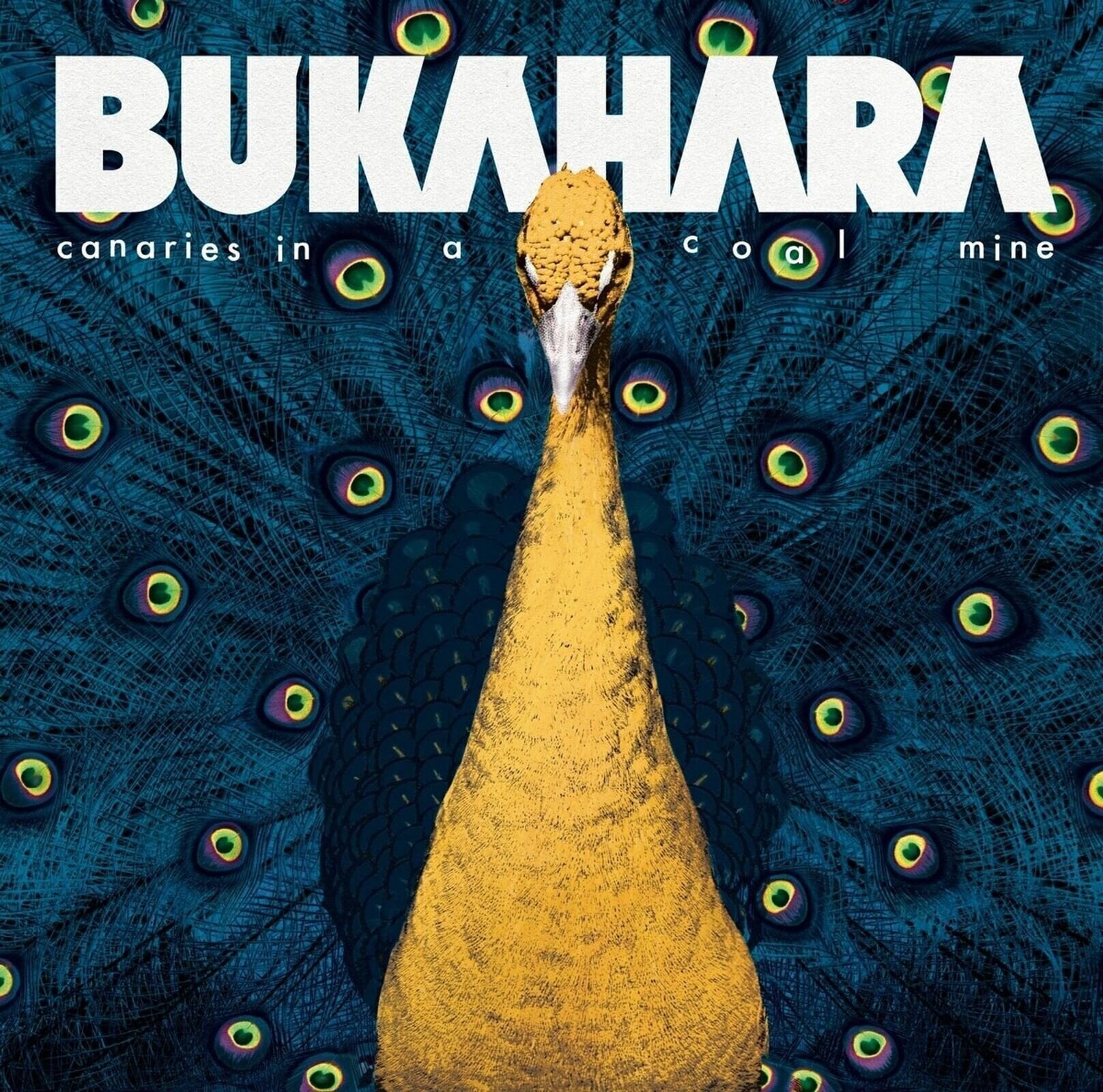 Vinyl Record Bukahara - Canaries In A Coalmine (LP)
