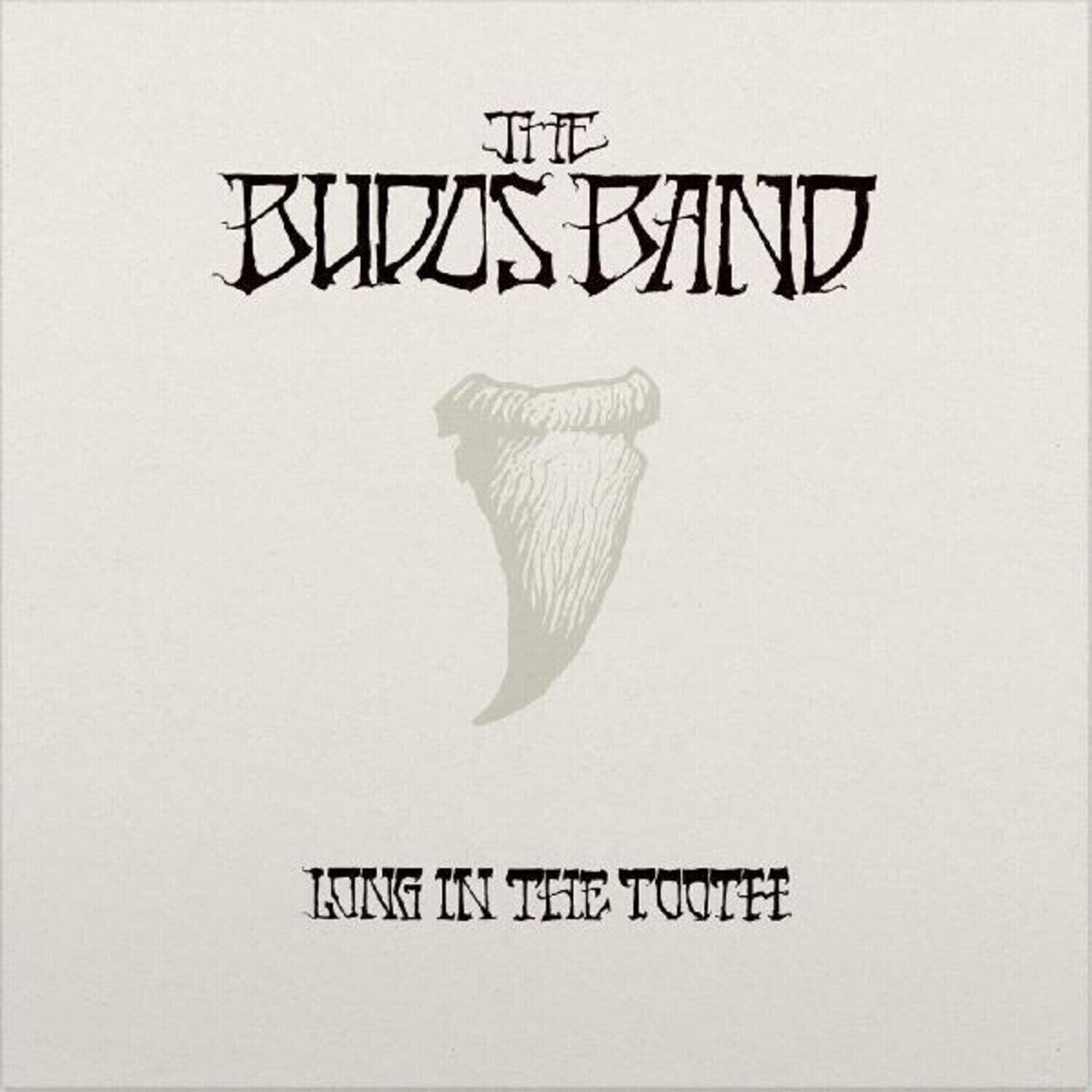 Vinyl Record The Budos Band - Long In The Tooth (Limited Edition) (LP)