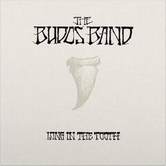 Vinyl Record The Budos Band - Long In The Tooth (Limited Edition) (LP)
