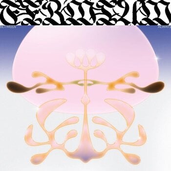 Vinyl Record Fermium - Between Nothing and Always (LP) - 1