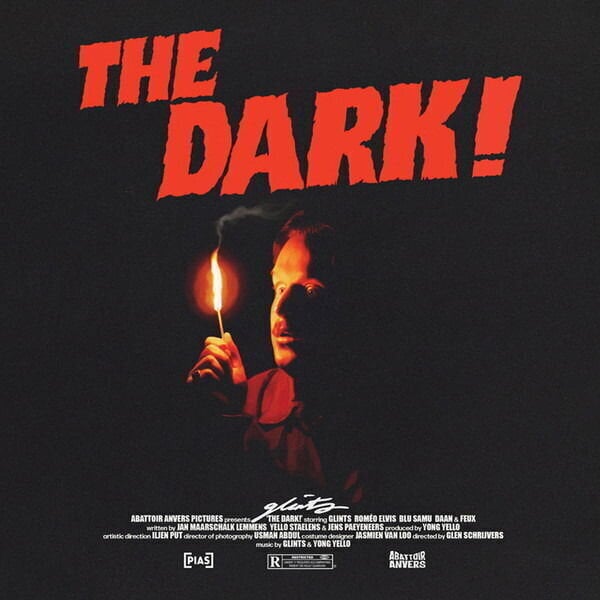 Vinyl Record Glints - The Dark! (LP)