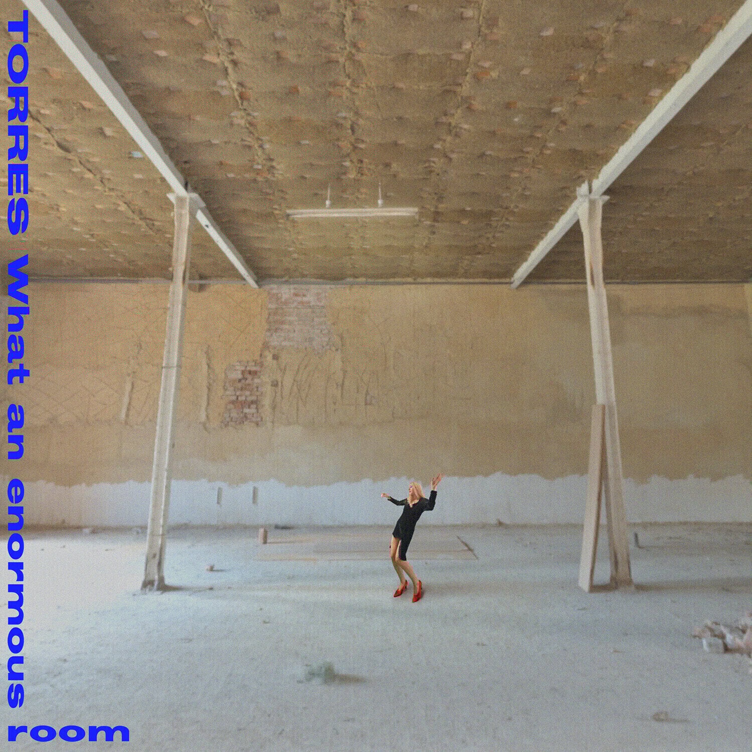 LP deska Torres - What An Enormous Room (Limited Edition) (LP)