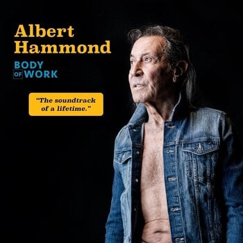 Disco de vinil Albert Hammond - Body Of Work (2 LP) - 1