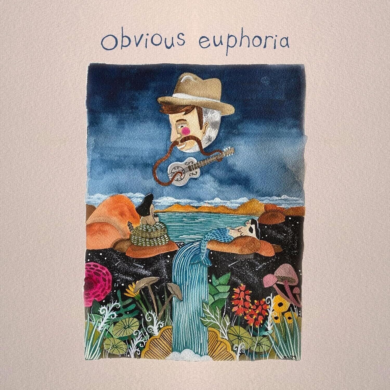 Disque vinyle Matt Mitchell Music Company - Obvious Euphoria (LP)