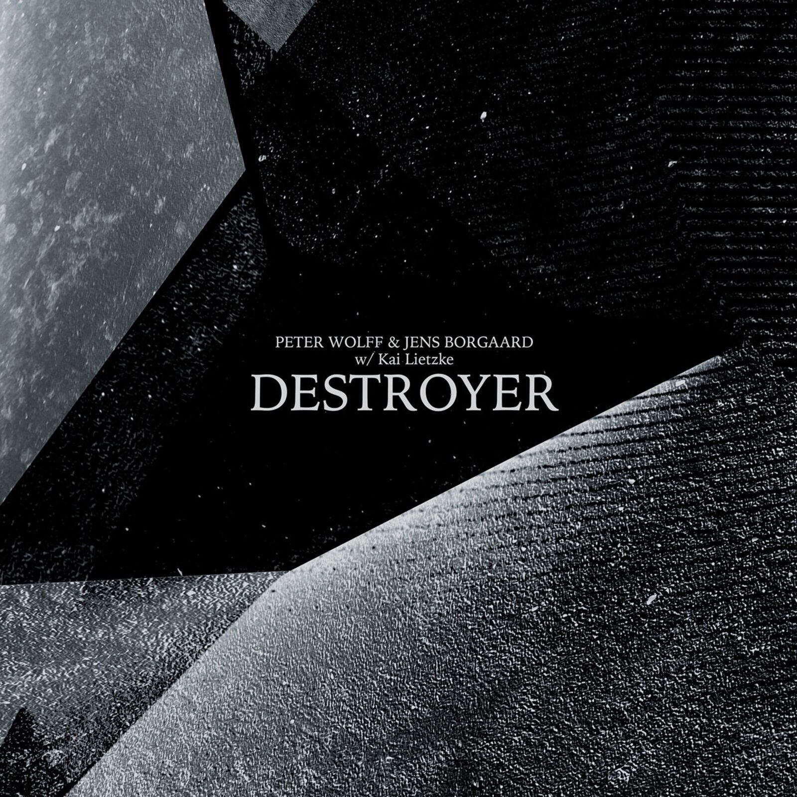 LP ploča Peter Wolff Peter Wolff & Frank Borgaard Jensen - Destroyer (Limited Edition) (Marbled Red Coloured) (LP)