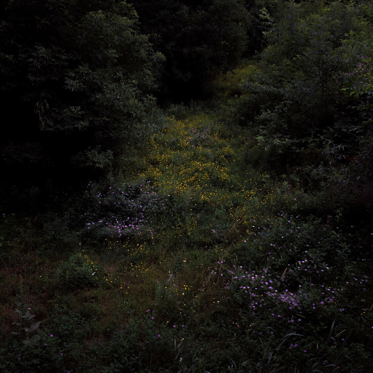 LP ploča Fireworks - Higher Lonely Power (Limited Edition) (Coloured) (LP)