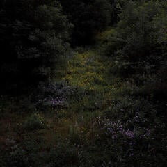 LP ploča Fireworks - Higher Lonely Power (Limited Edition) (Coloured) (LP)