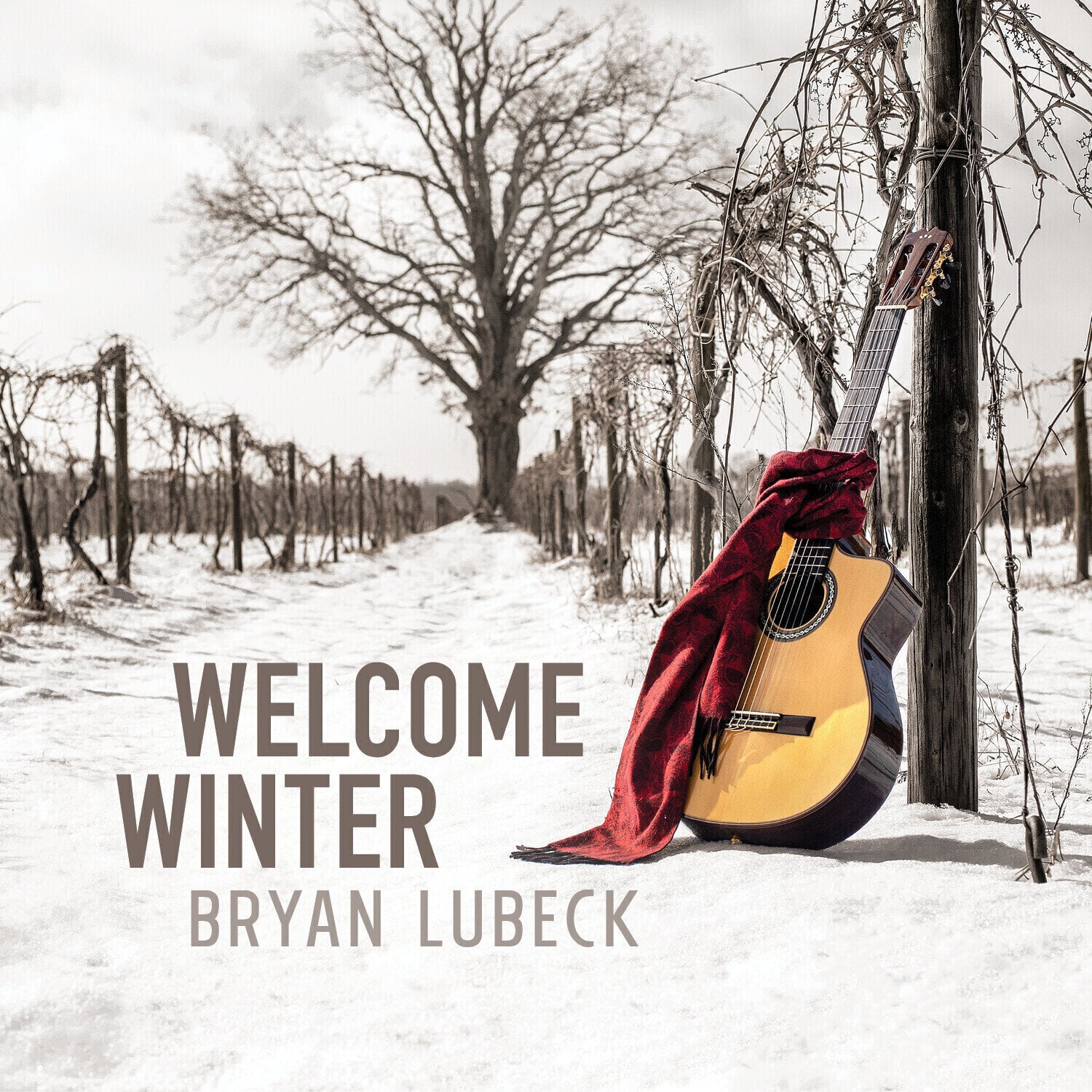 Vinyl Record Bryan Lubeck - Welcome Winter (LP)