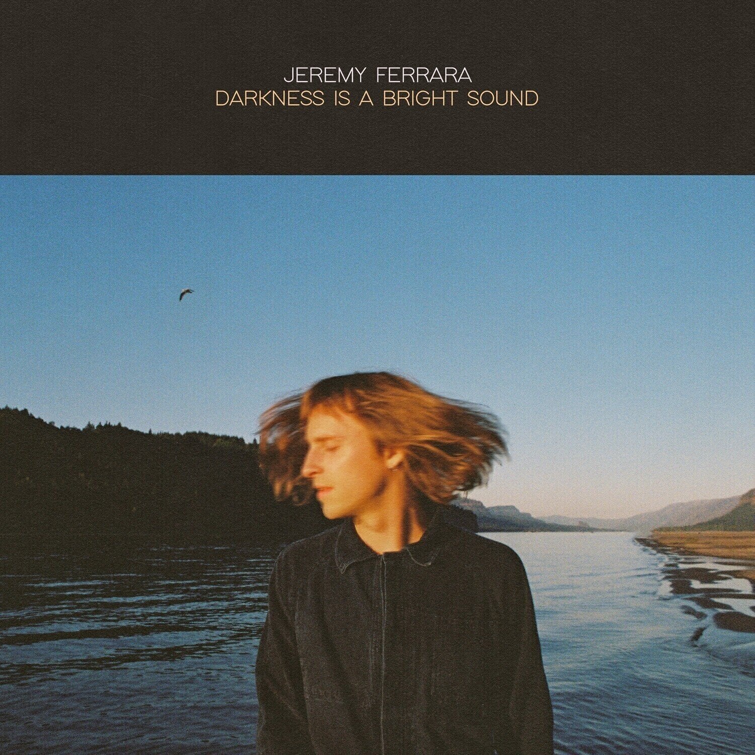 Vinyl Record Jeremy Ferrara - Darkness Is A Bright Sound (LP)