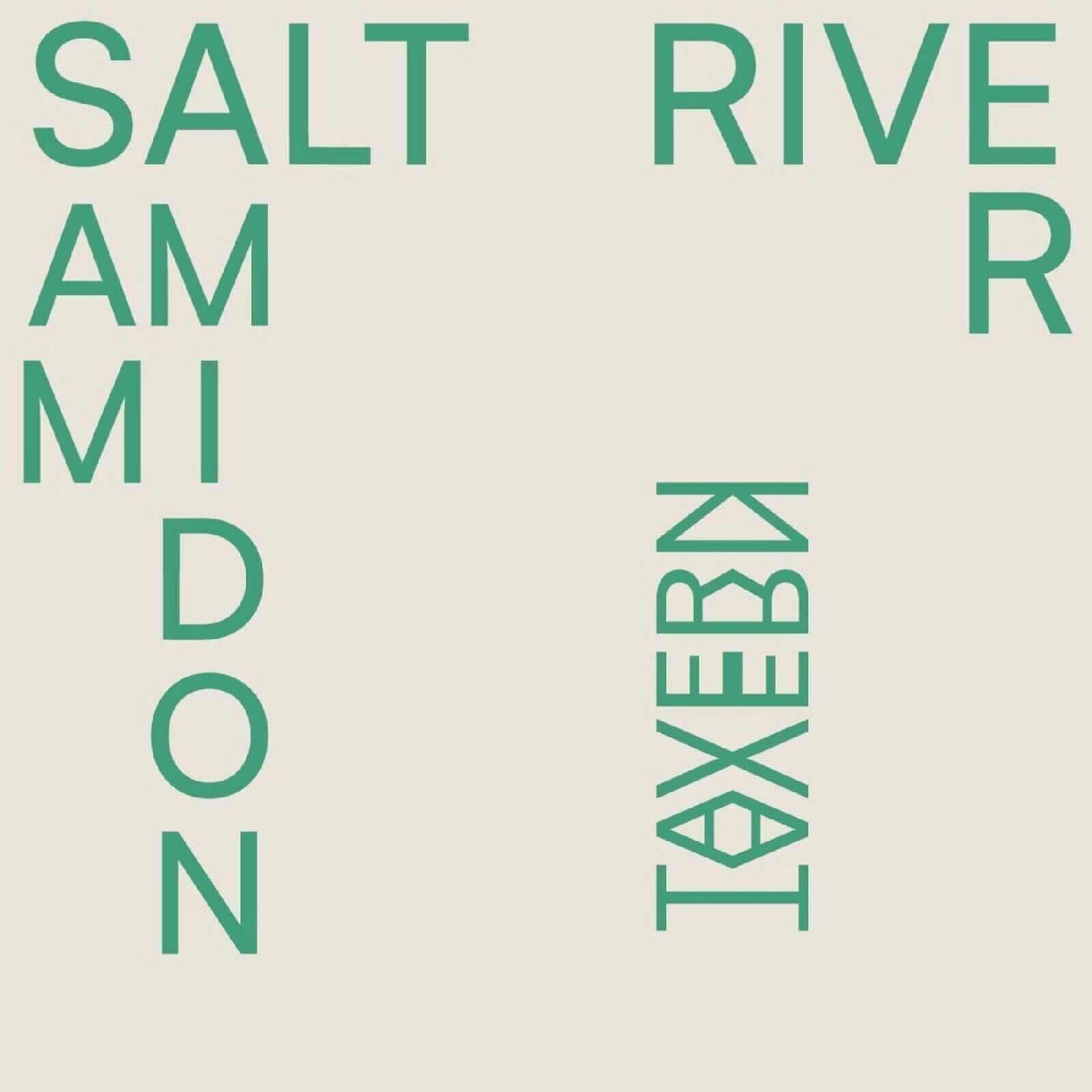 Vinyl Record Sam Amidon - Salt River (LP)