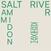Vinyl Record Sam Amidon - Salt River (LP)