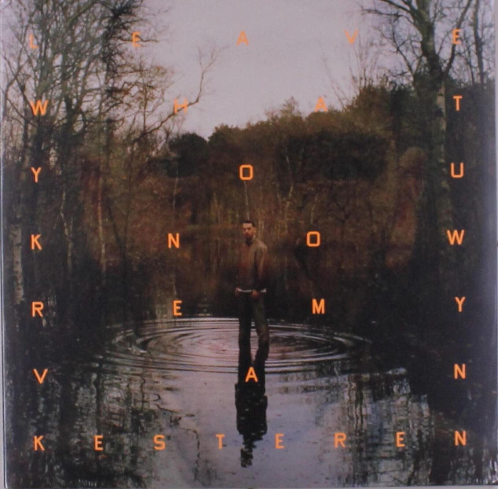 Грамофонна плоча Remy Van Kesteren - Leave What You Know (LP)