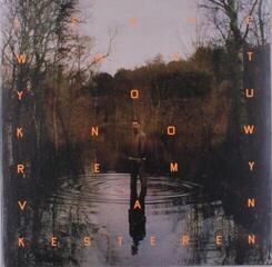 Грамофонна плоча Remy Van Kesteren - Leave What You Know (LP)