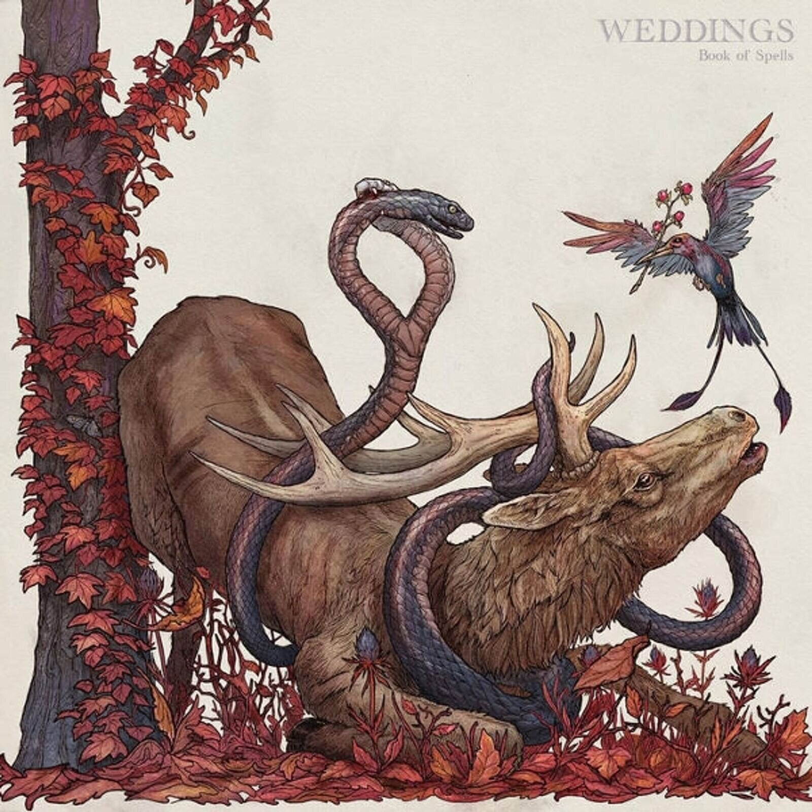 LP ploča Weddings - Book Of Spells (LP)