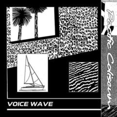 Disco de vinil Pacific Coliseum - Voice Wave (2 LP)