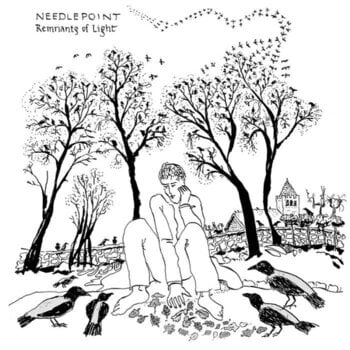 Disco de vinil Needlepoint - Remnants Of Light (LP) - 1