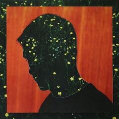 Vinyl Record Kidnap Kid - Something Lost, Something Gained (LP)