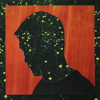 Vinyl Record Kidnap Kid - Something Lost, Something Gained (LP) - 1