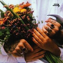 Vinyl Record Mathlovsky - Yassssin (2 LP)