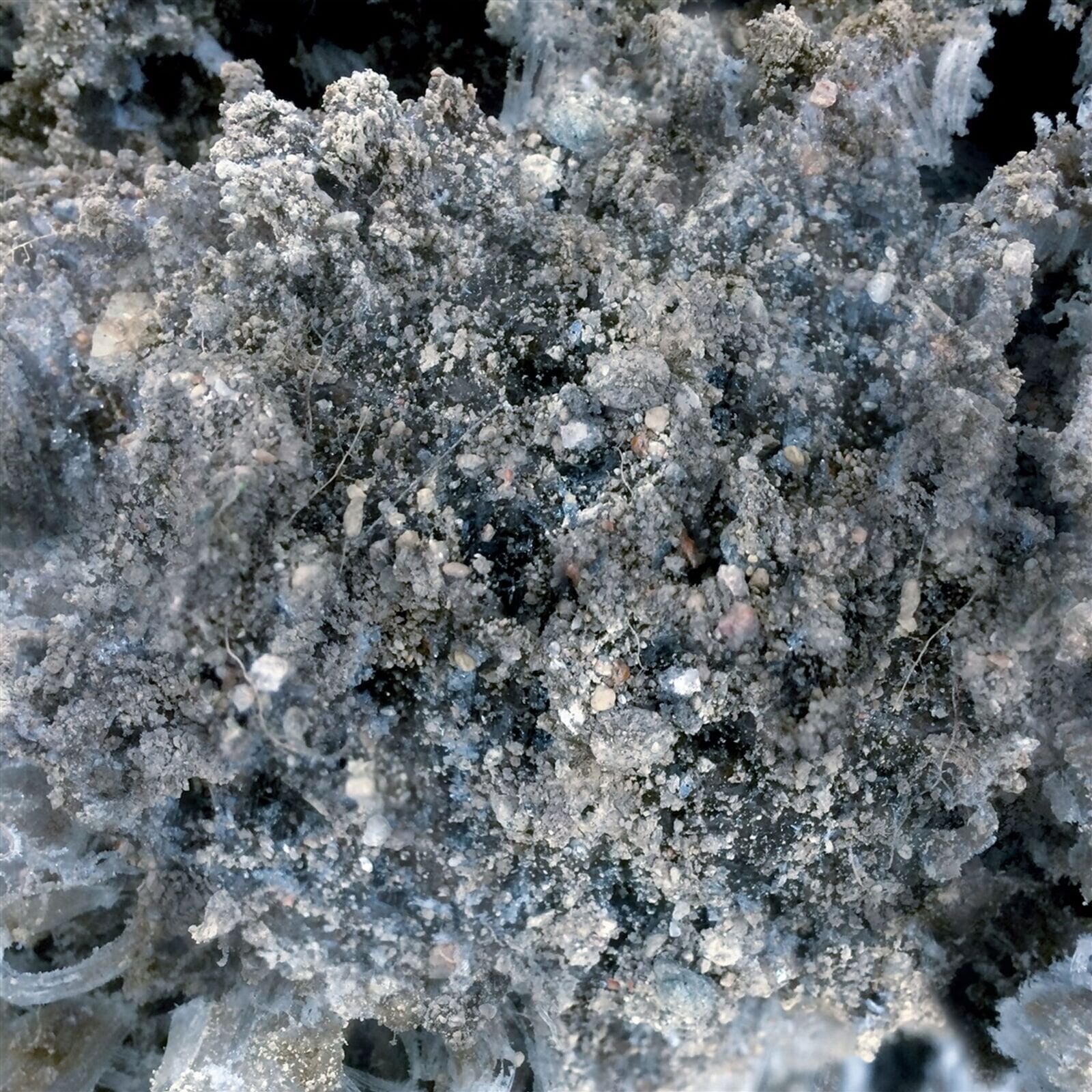 Vinyl Record Horte - Maa Antaa Yön Vaientaa (LP)