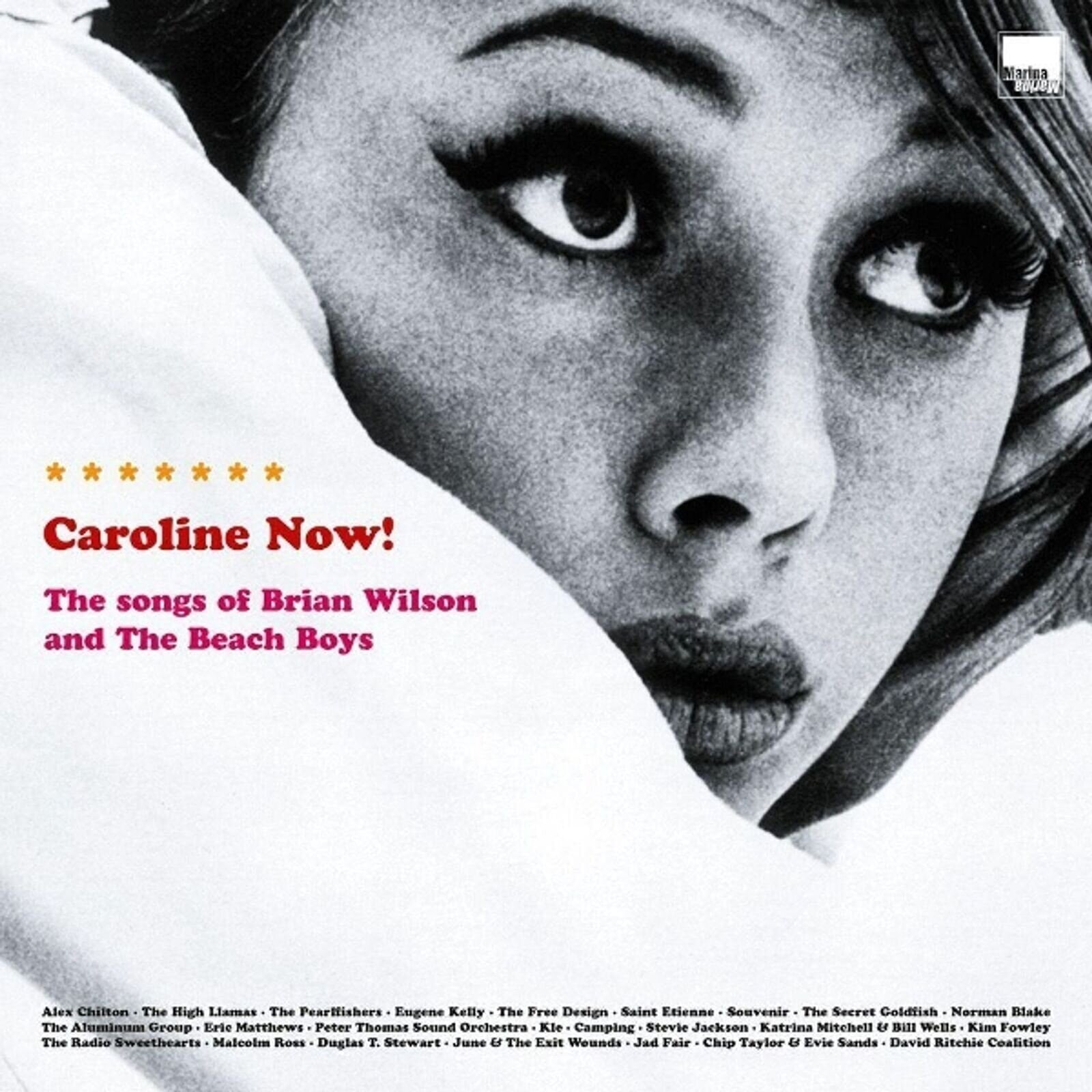 LP ploča Various Artists - Caroline Now! The Songs Of Brian Wilson And The Beach Boys (Reissue) (2 LP)