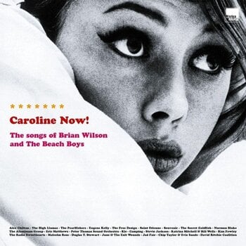 LP ploča Various Artists - Caroline Now! The Songs Of Brian Wilson And The Beach Boys (Reissue) (2 LP) - 1