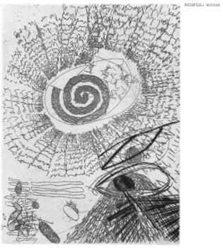 Vinyl Record Beispiel - Muster (LP) - 1