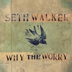LP plošča Seth Walker - Why The Worry (Limited Edition) (LP)